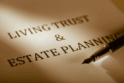 Self-Settled Asset Protection Trust